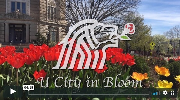 U City In Bloom